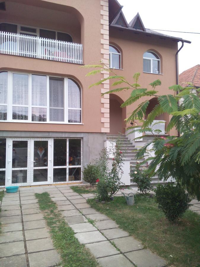 Private House Apartment Berehove  Luaran gambar
