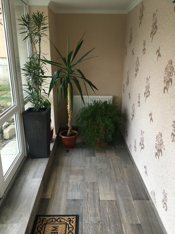 Private House Apartment Berehove  Luaran gambar