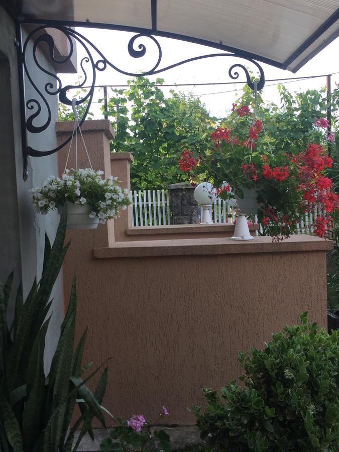Private House Apartment Berehove  Luaran gambar