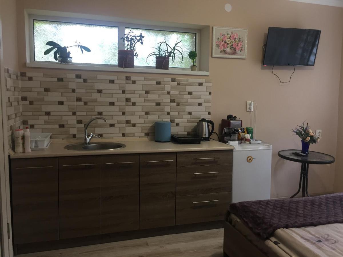 Private House Apartment Berehove  Luaran gambar